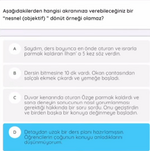 Ekran görüntüsü 2026-02-13 121555.png